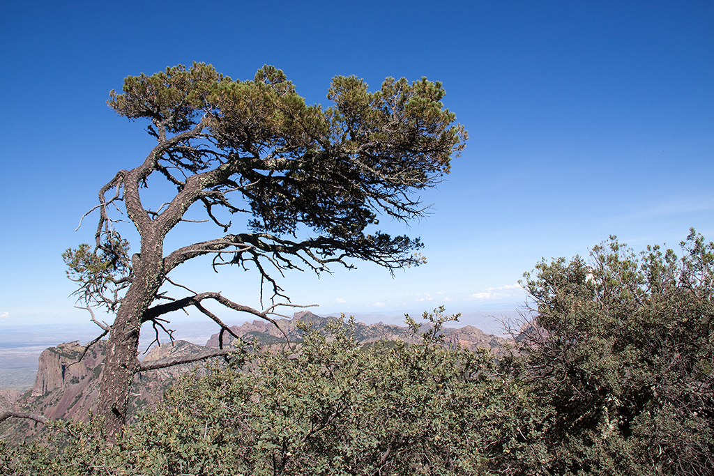 27_Big Bend National Park_04.jpg